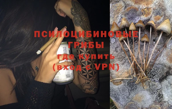 ALPHA PVP Алзамай